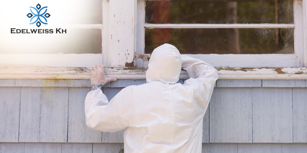 Children and Lead Paint_ A Parent's Guide to Removal and Prevention